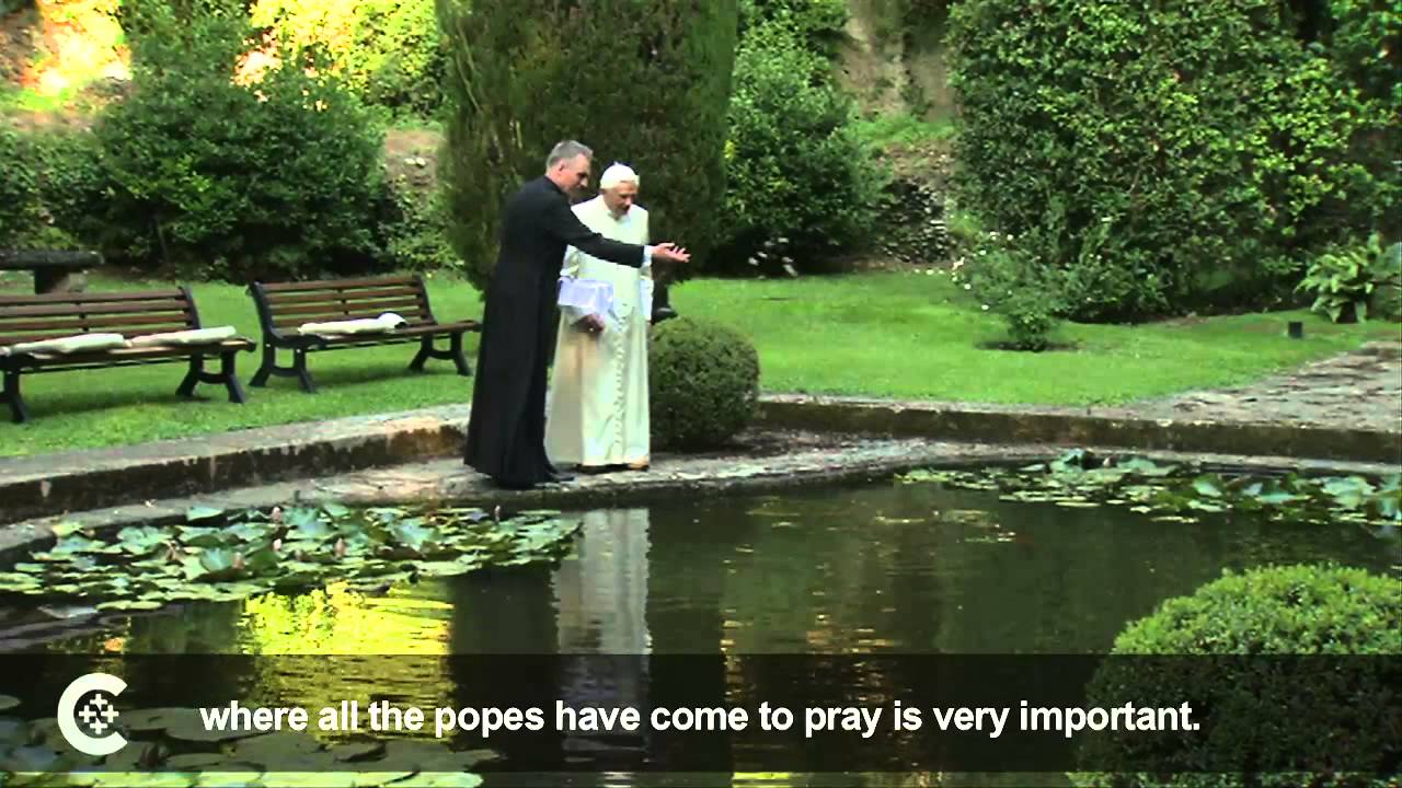 A summer stroll in the papal gardens