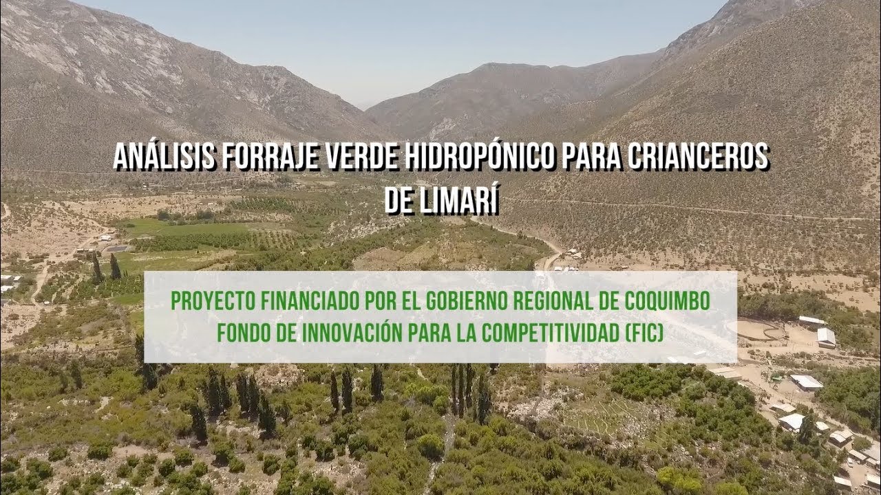 Análisis forraje verde hidropónico para crianceros de la Provincia de Limarí