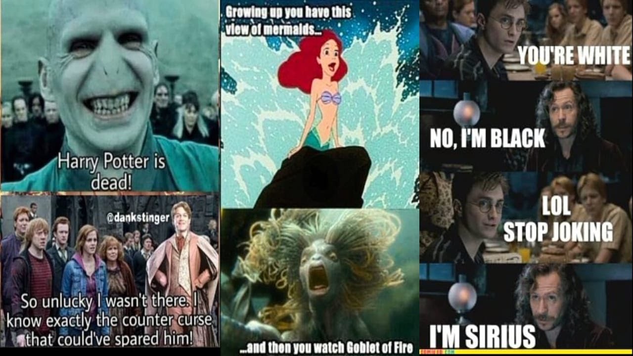 Harry Potter memes only fans will find funny!!!! Part 1
