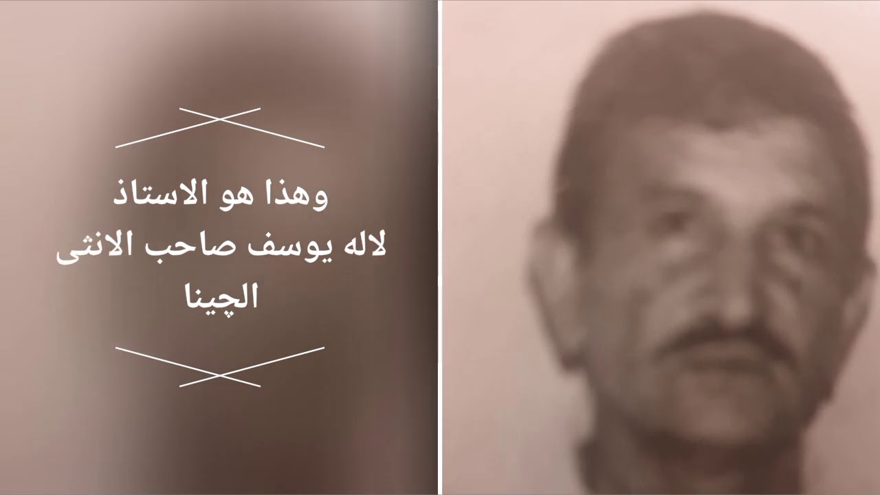 ماهي قصة التيدي وسر ظهوره