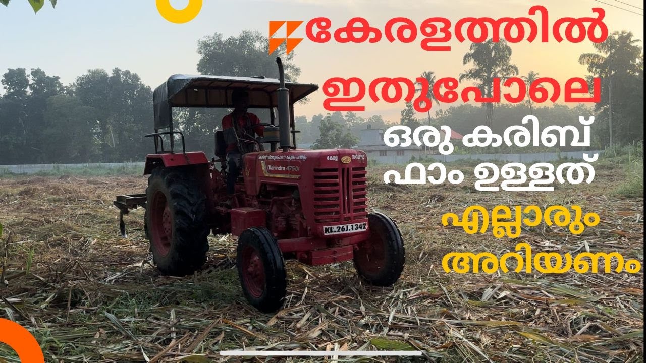 കേരളത്തിൽ ഇതുപോലെ ഒരു കരിബ് ഫാം ഉള്ളത് എല്ലാരും അറിയണം|| SARAHS TECHNO: 9349165966|| FILLING MACHINE