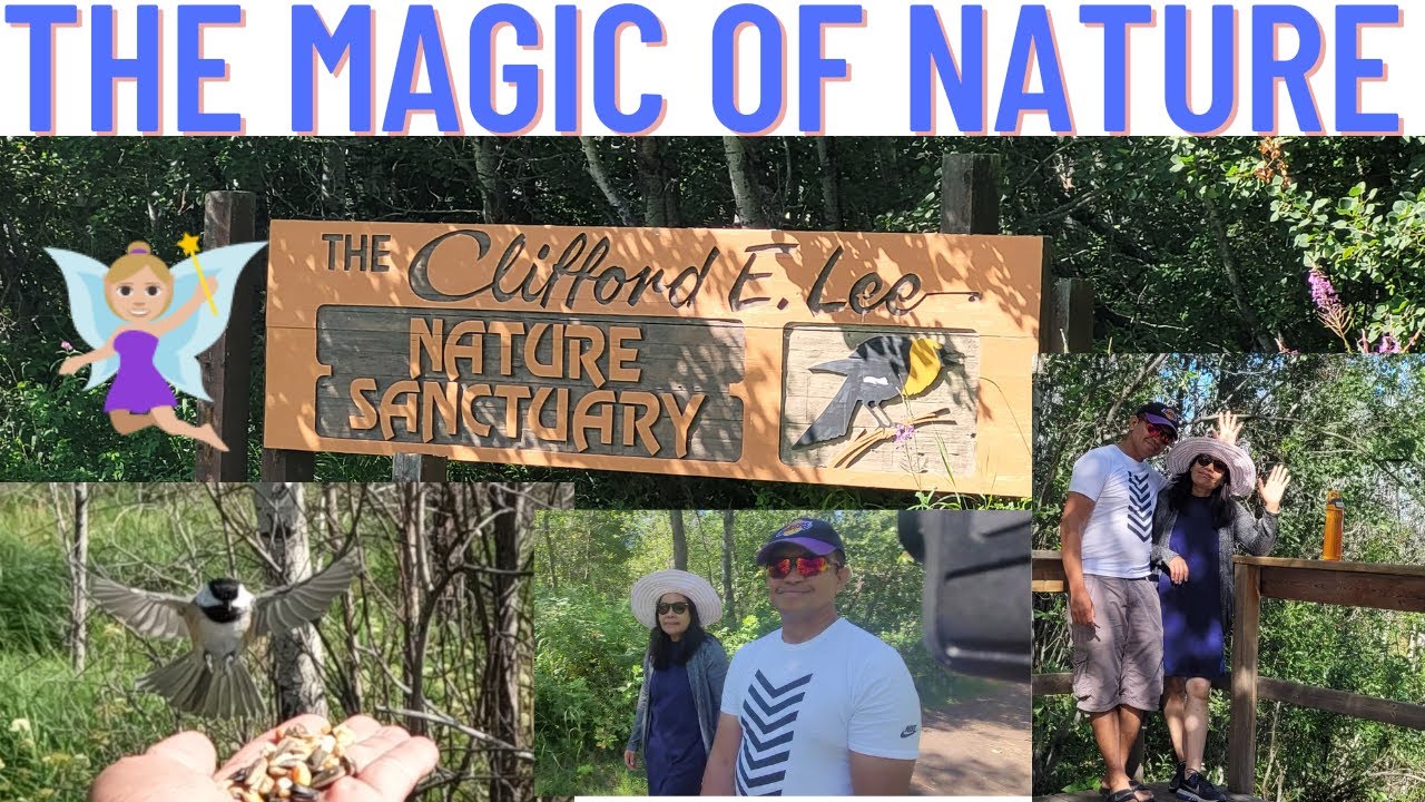 NATURE SANCTUARY RELAXING AND STREES RELIEVER Clifford E. LEE #LAN'SADVENTURE