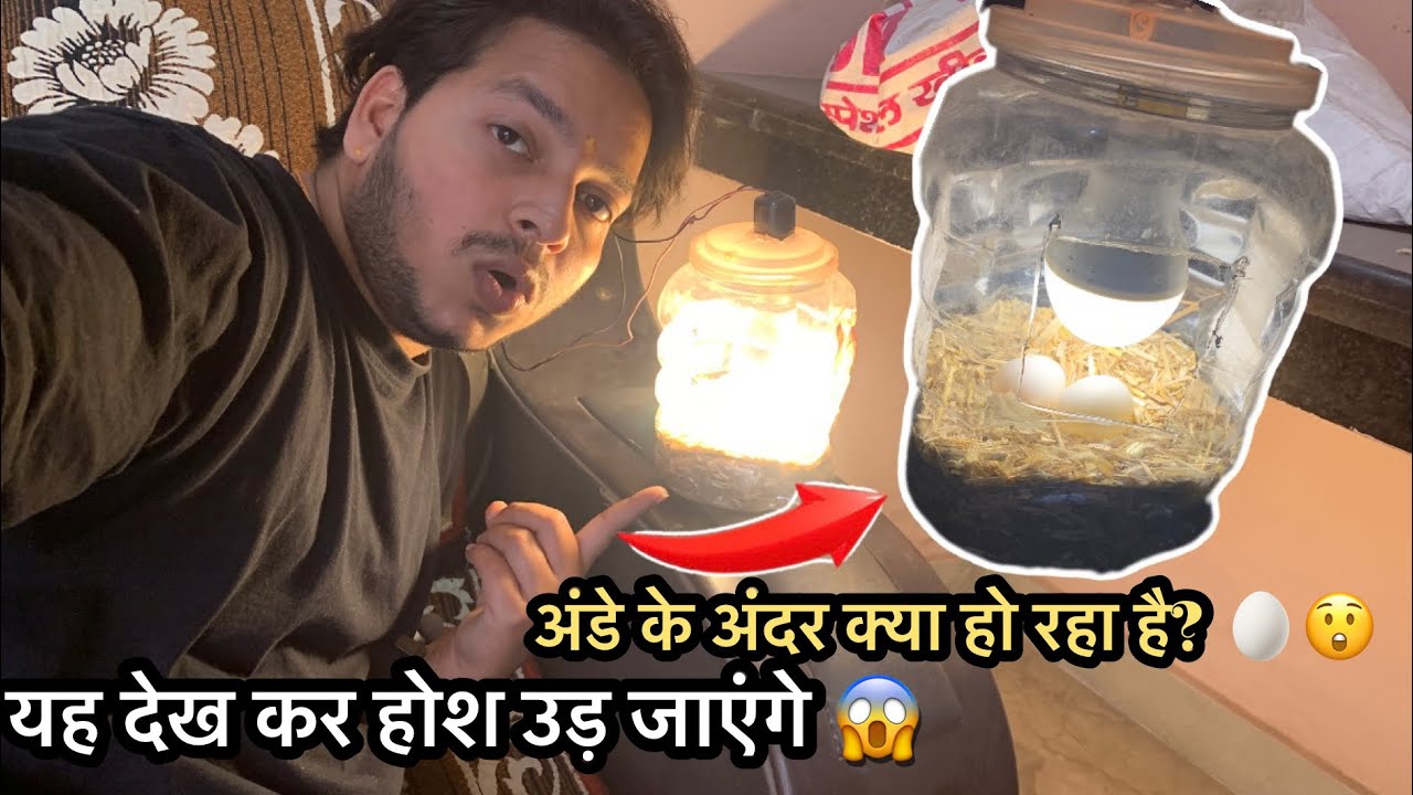  मैंने अंडे को जार में रख दिया 😱 Result देखकर हैरान रह गया! मैंने अंडे को बल्ब के नीचे रख दिया 😳 