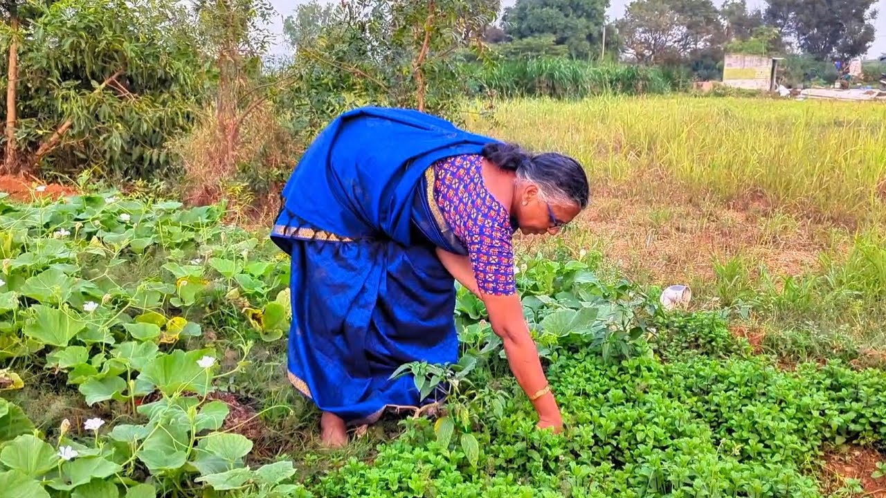 தோட்டத்து காய்கறிகளும்.. ஆரோக்கியமான சமையலும்..