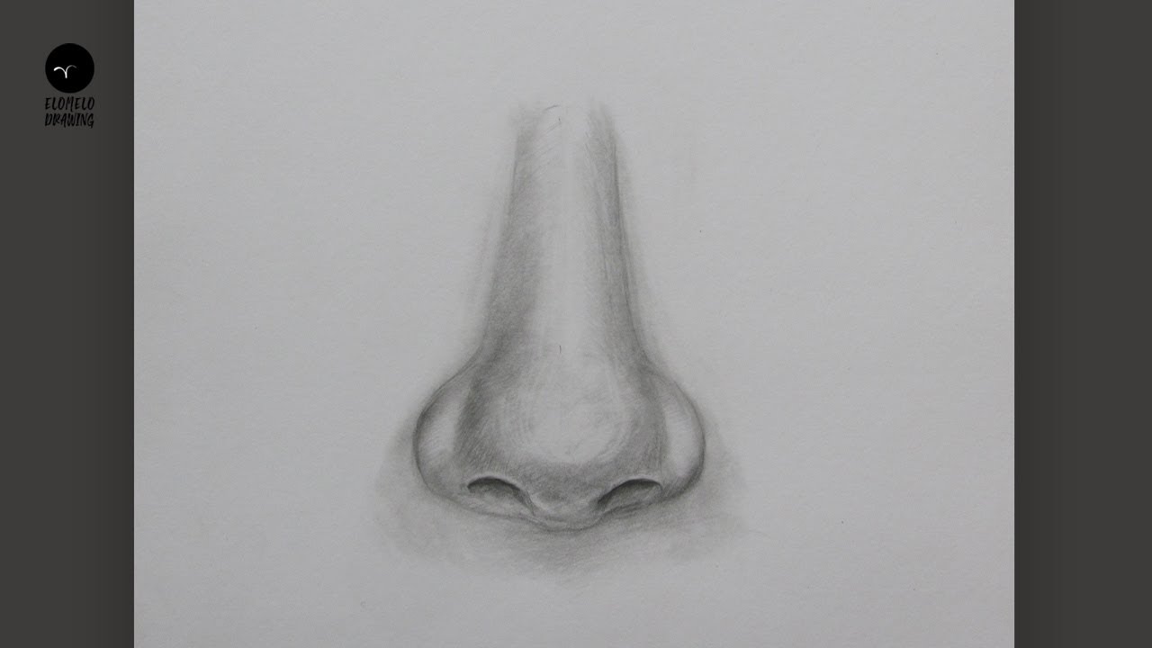 How to Draw a  Nose  Pencil Sketch : Nose Drawing