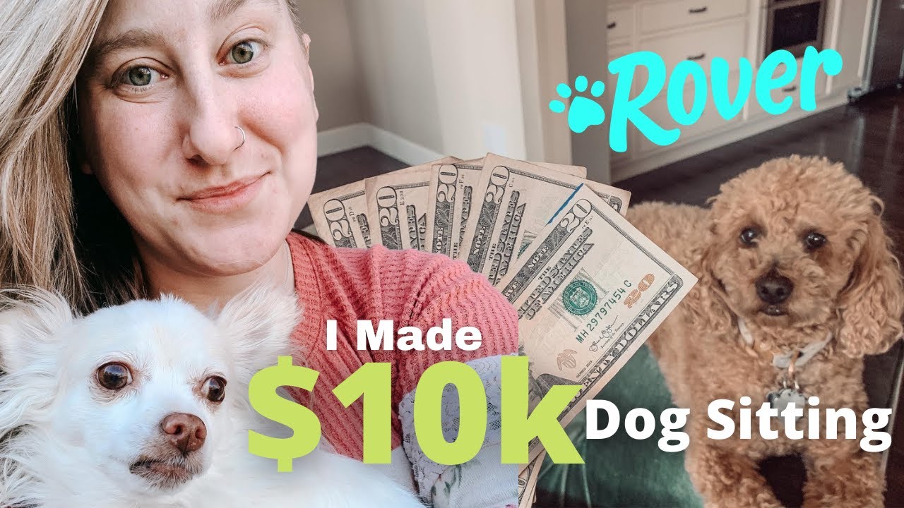 Rover Review (Testimonial): How I Made $10k Dog Sitting