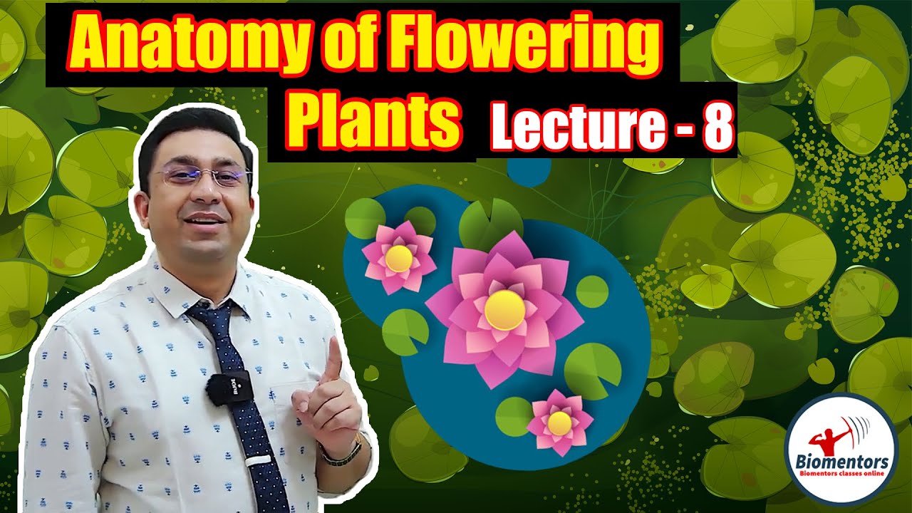 Anatomy of Flowering Plants l Lecture 8 l Biology l NEET
