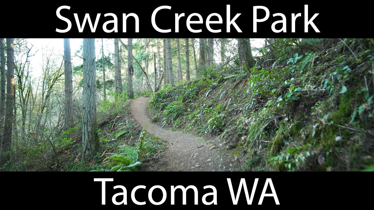 Swan Creek Park, upper west trails in Tacoma, anamorphic widescreen, 4K 24fps, ASMR