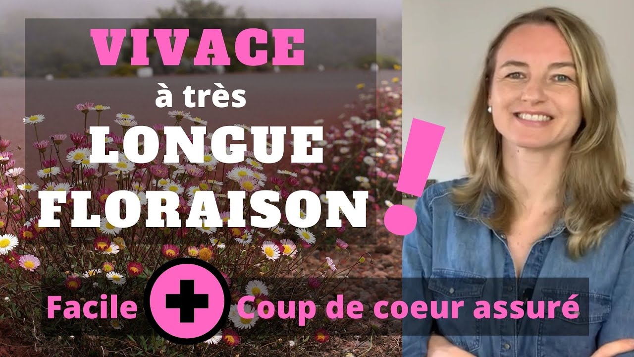Vivace à TRÈS LONGUE FLORAISON (facile + coup de coeur assuré !)