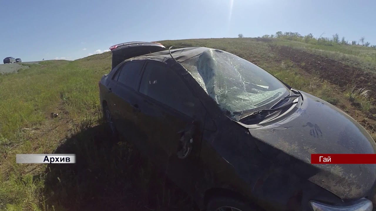 Александр Щекодько 070818