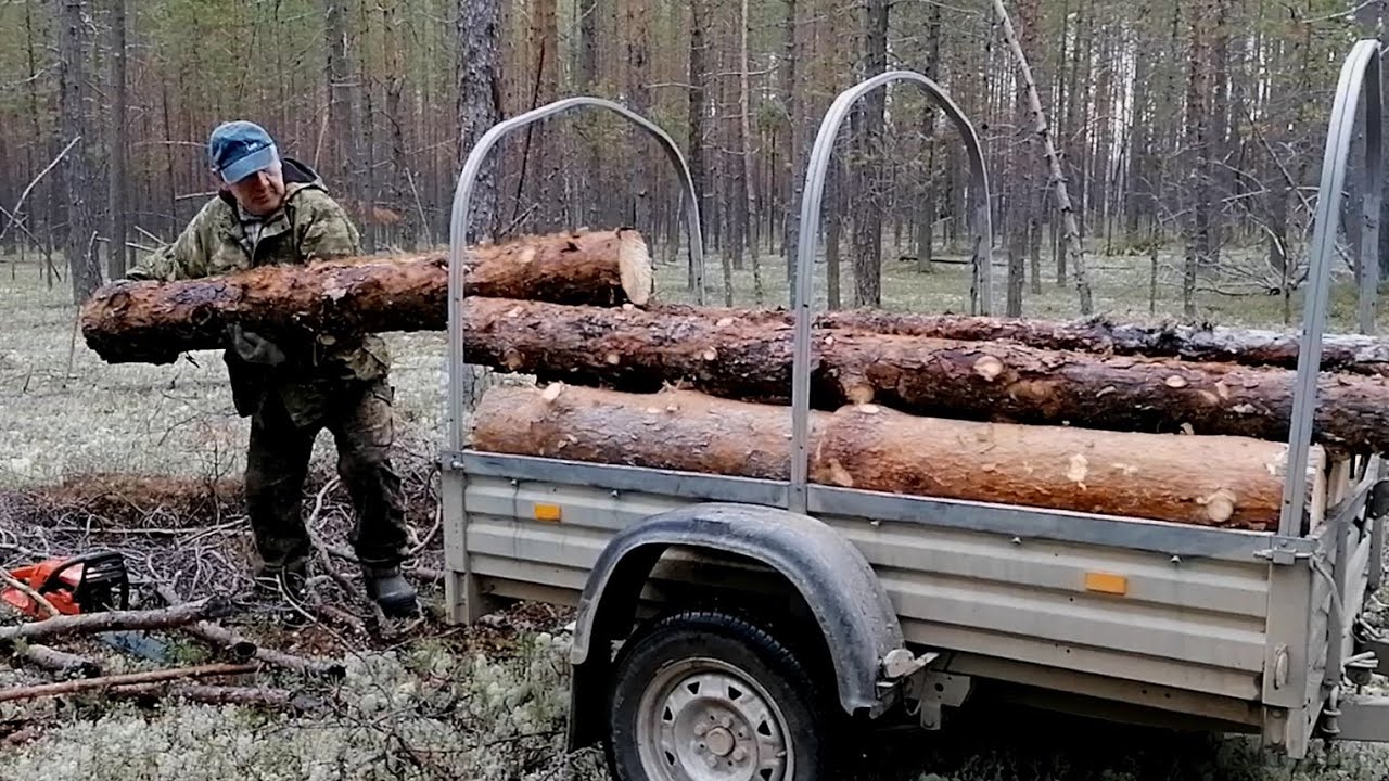 Зима близко, валежник греет.