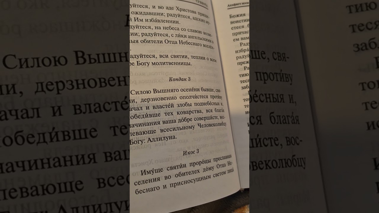 Акафисты и каноны на каждый день.  Канон всем святым