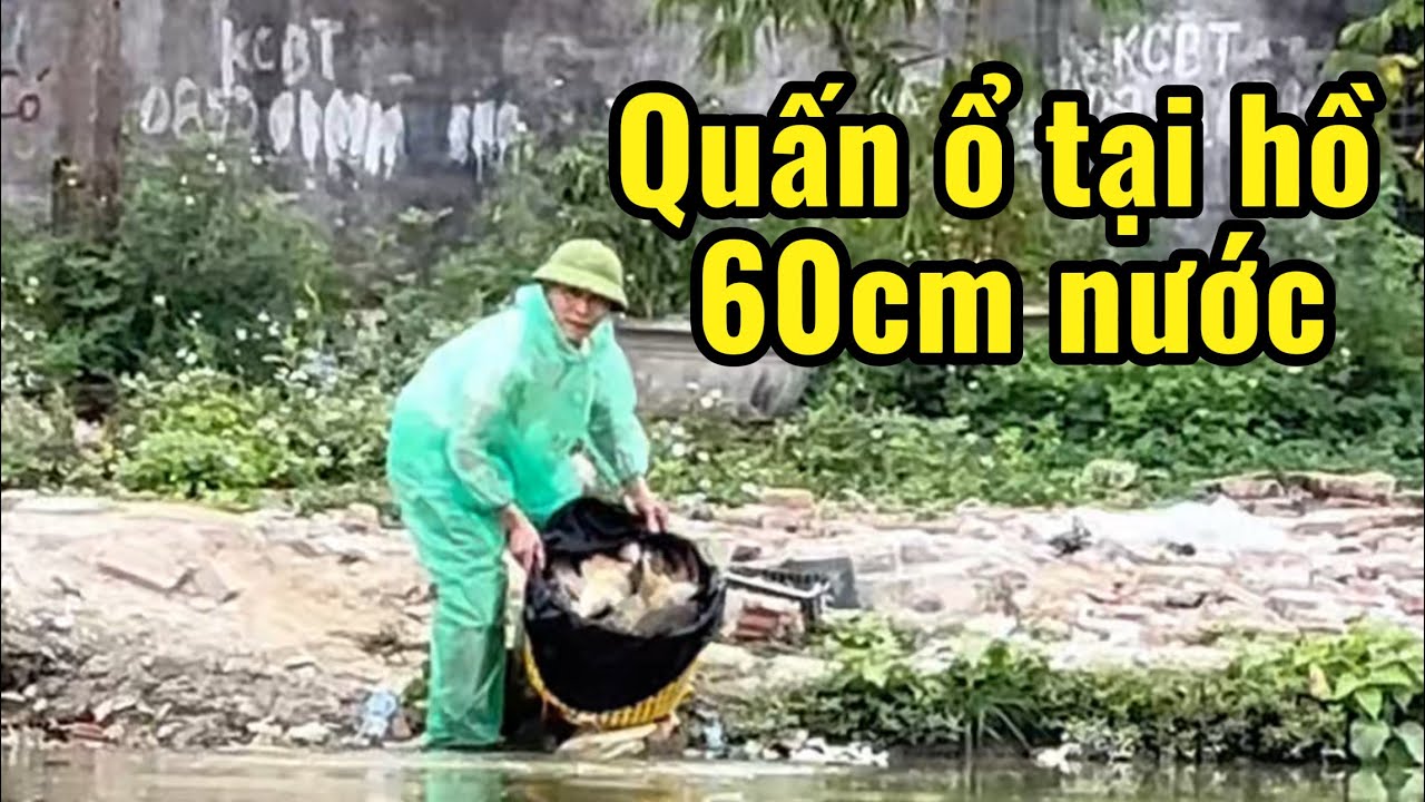 Quấn ổ tại Hồ 60cm nước