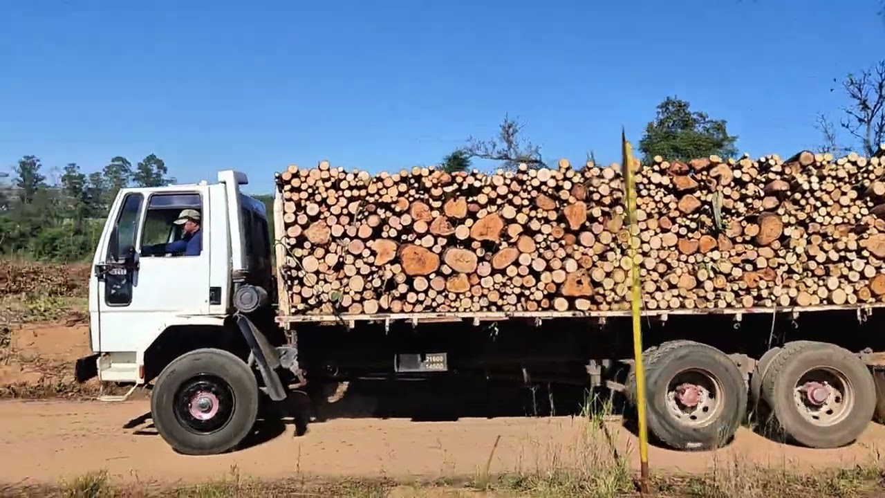 “O peso da lenha e o valor do trabalho honesto 🚧”