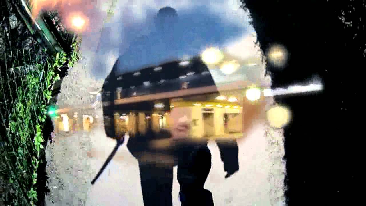 froyd - homunculus