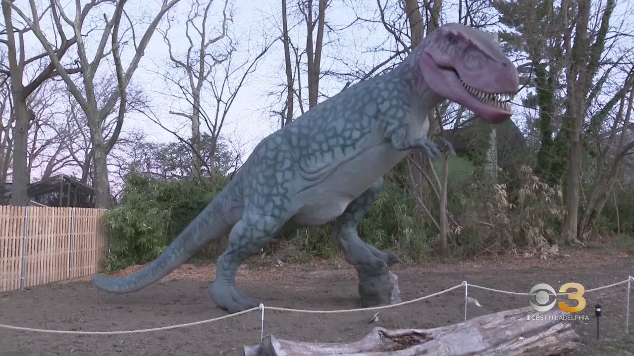 New exhibit at Philadelphia Zoo brings 
