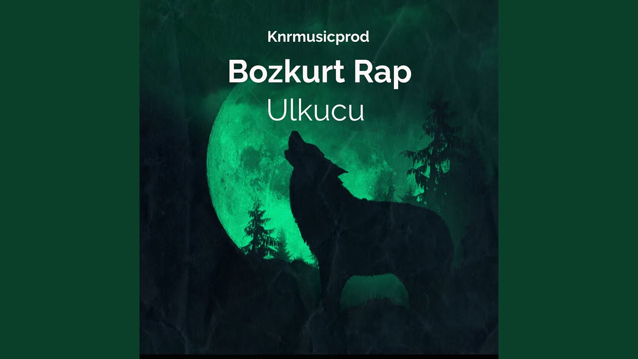 Bozkurt Diss