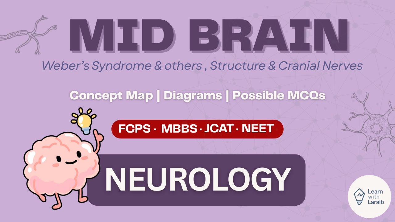 Midbrain High Yeild Explanation | Tectum, Tegmentum & Colliculi | Neurology |FCPS MBBS JCAT NEET