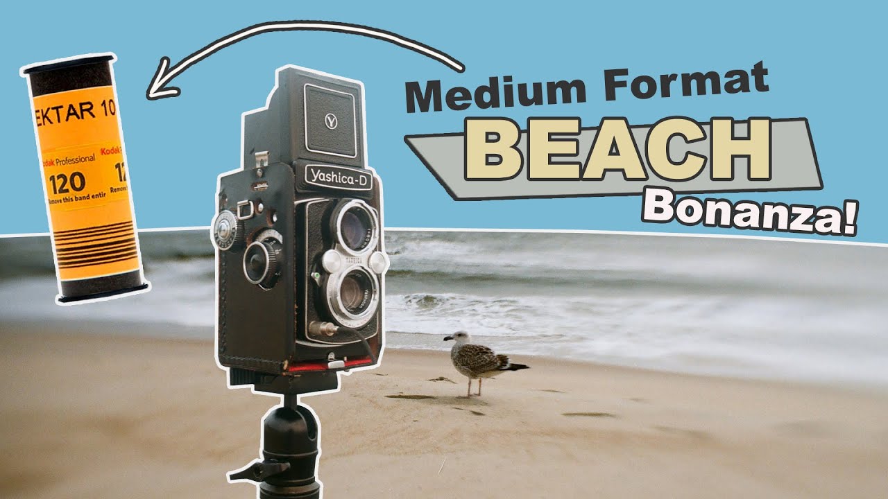 Medium Format Beach Bonanza! (Yashica D and Kodak Ektar 120)