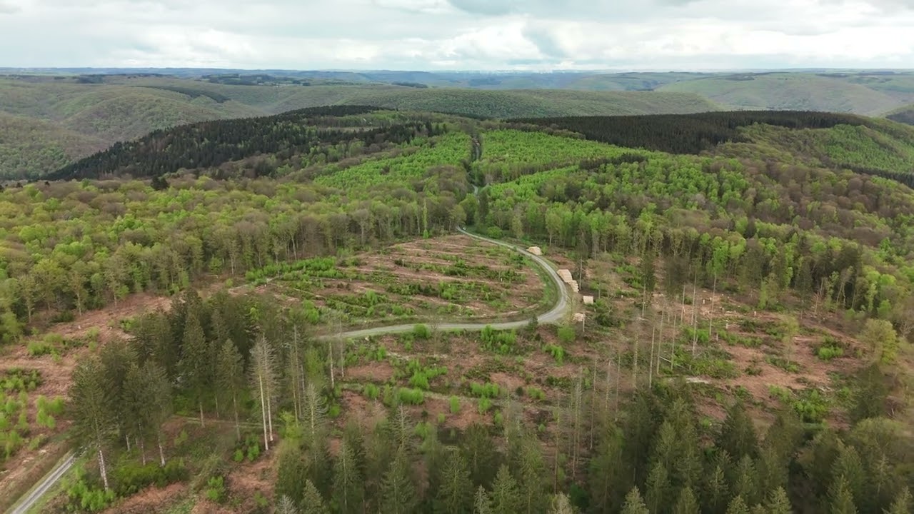 Le Champ Bernard un beau paysage des Ardennes parmi tant d'autres.
