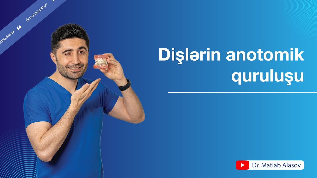Dişimiz nədən ibarətdir? Dişlərin anotomik quruluşu #baku #diş #drmatlabalasov #stomatoloq #teeth