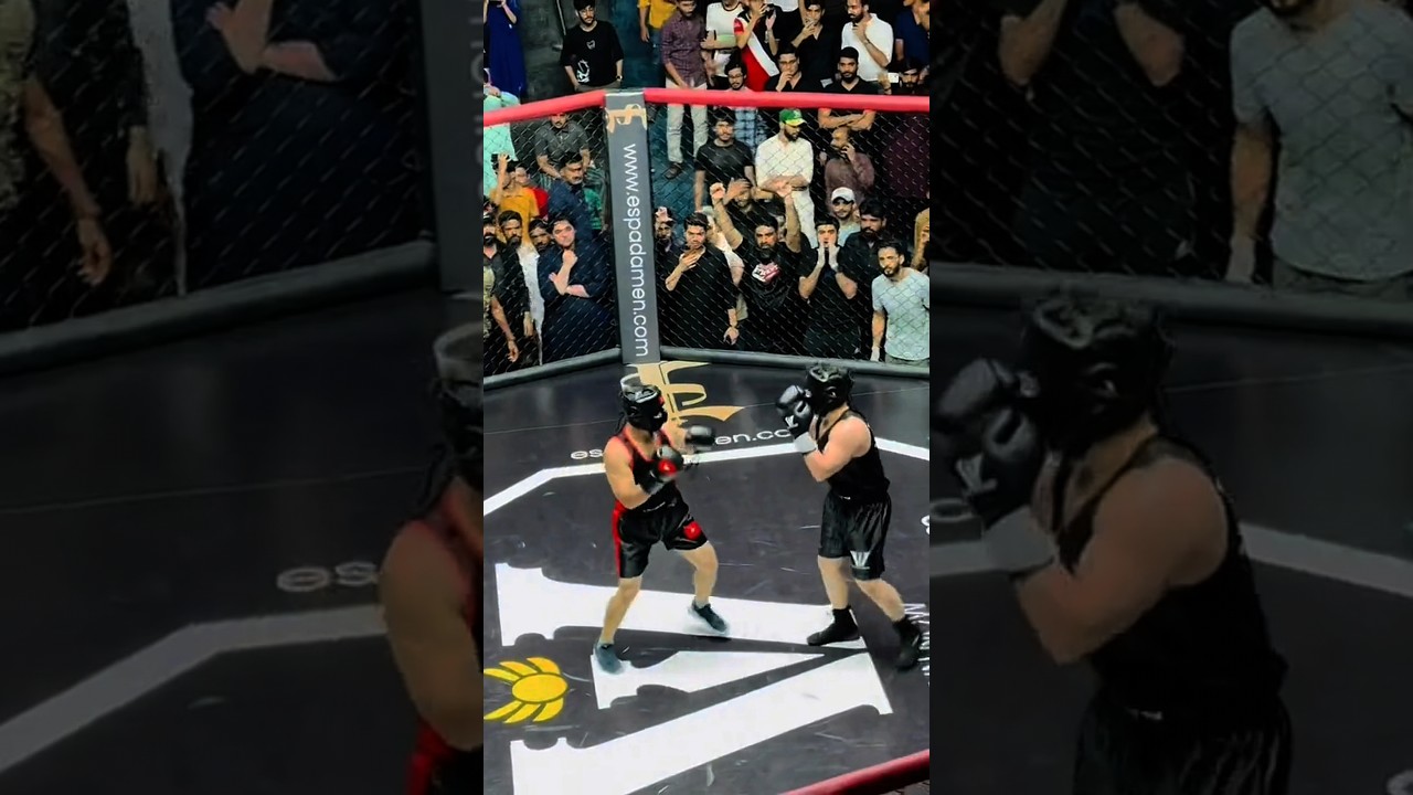 Rajab Butt vs Anas Ali | anas ali vs rajab #fight #vs #rajab #anas #shorts #viral rajab boxing match