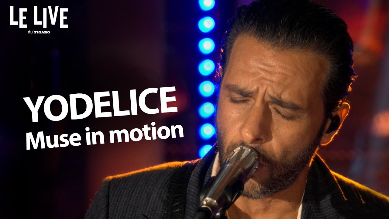 Yodelice (@yodelicemusic) - Muse in motion (live)
