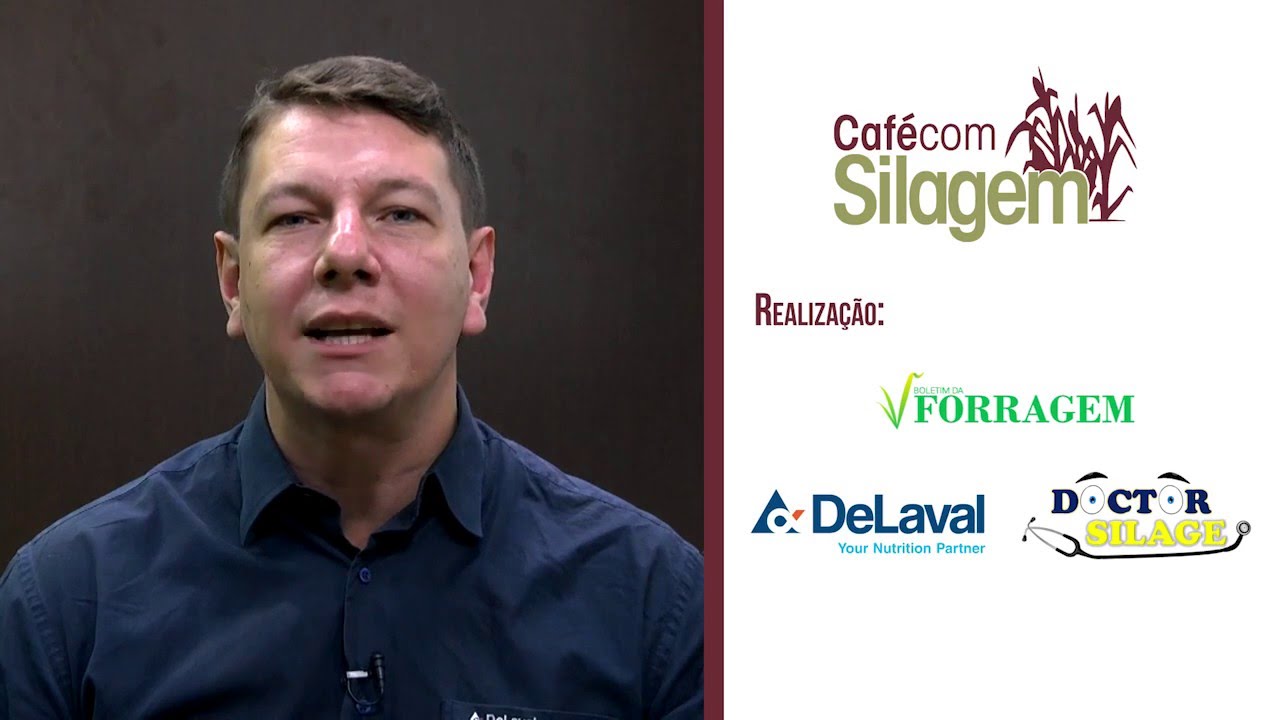 Fermentação de Silagens - Participação de Sérgio Toledo - Especialista de silagem da DeLaval