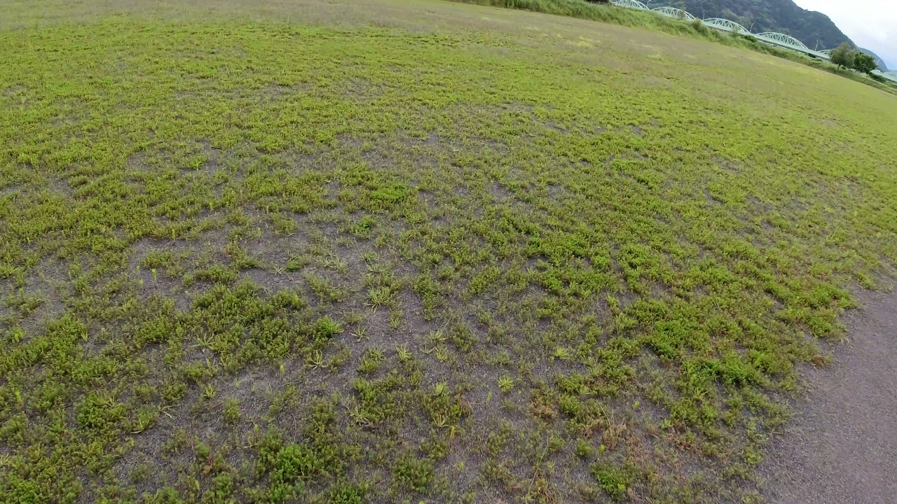 Eachine Cvatar 120 Flight June 25, 2021