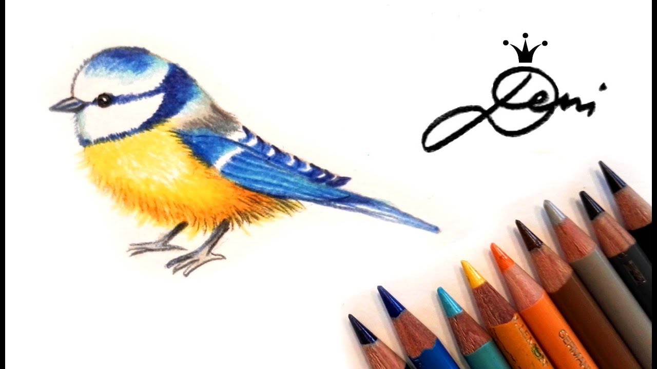 Blaumeise zeichnen lernen🐤 Wie zeichnet man einen Vogel 🐤 How to draw a bird 🐤 как се рисува птиче