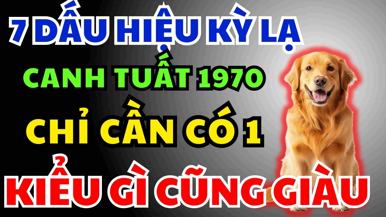 Canh Tuất 1970 có Phước Đức, Hậu vận Giàu Sang Tự đến, Chỉ Cần Nhìn 7 Dấu Hiệu Này Là Biết Ngay