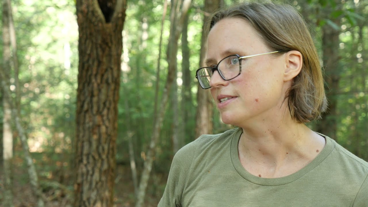 The A.T. In Its Second Century - Recreation | Appalachian Trail Conservancy