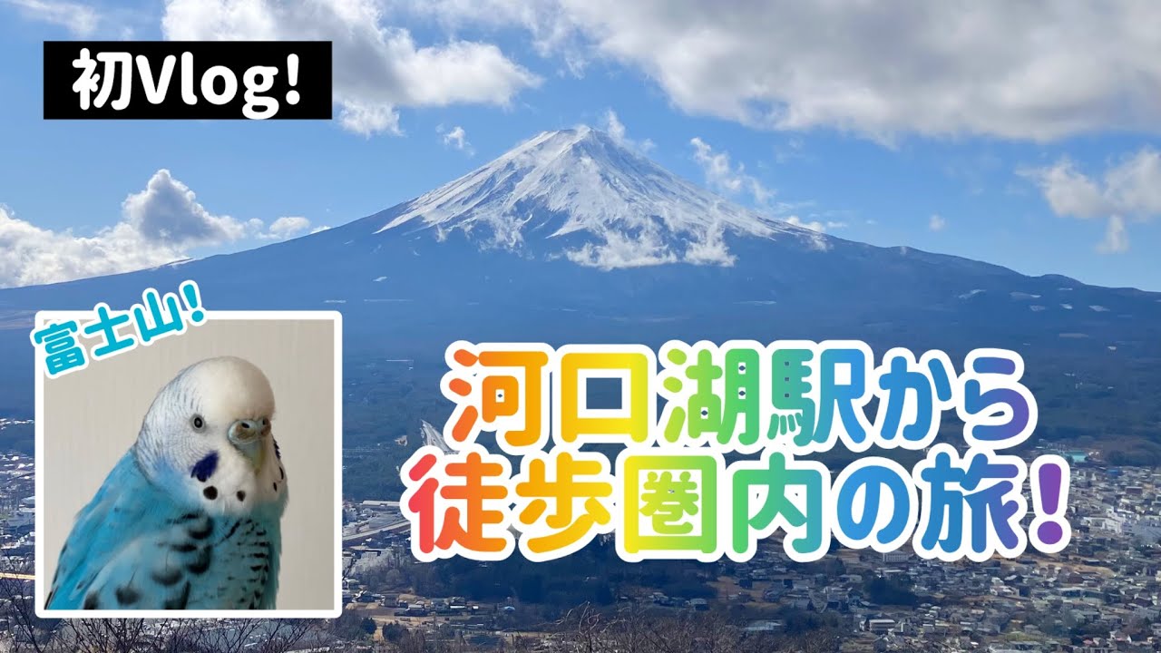 【日帰り一人旅(2025/1/20)】河口湖駅から徒歩圏内の旅＆富士山！~Travel within walking from Kawaguchiko Station & Fujisan~