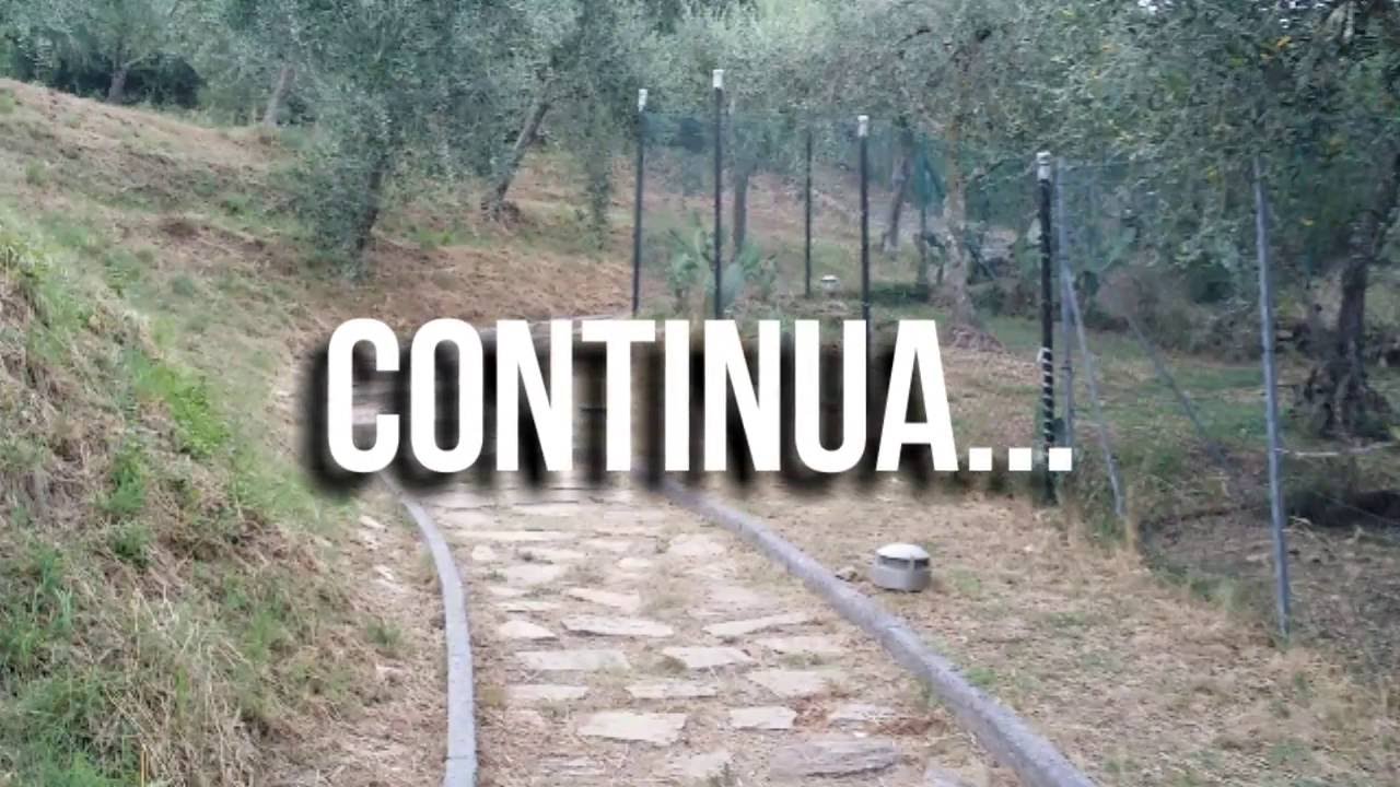 Massaciuccoli Romana: un salto nell'antica Roma #PARTE 2