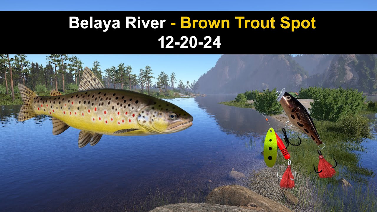 Russian Fishing 4,  Belaya River - Brown Trout Spot 12-20-24