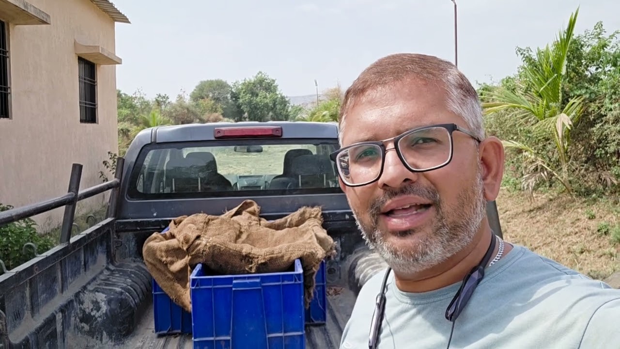 मुक्त कोंबडी पालना बद्दल संपूर्ण माहिती. भांडवल, इतर खर्च, नफा, खर्च कमी करण्यासाठी सल्ले