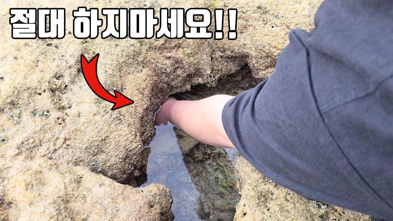바닷가 구멍속에 함부로 손넣으면 큰일납니다!! 절대 따라하지마세요!