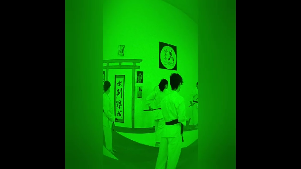 Seminario Kobudo Nunchaku 25 gennaio 2026 Parma 😁