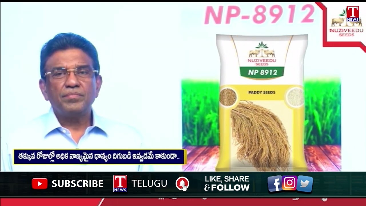 Nuziveedu Seeds introducing New Varieties of Paddy Seeds NP 8912 | Hyderabad | MD Prabhakar | T News