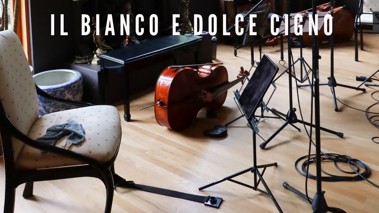 Arcadelt - Il bianco e dolce cigno l The Quarantine Sessions l Splntrd Wood