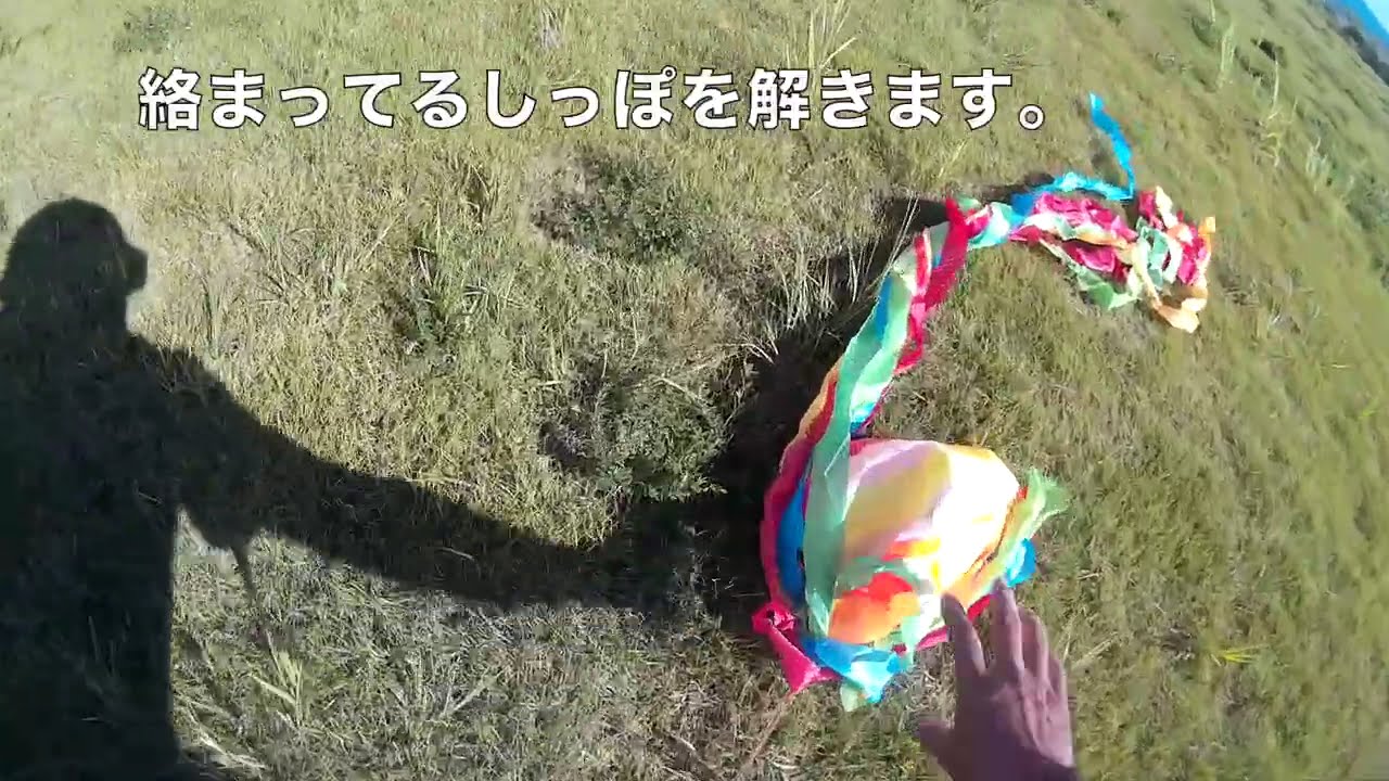 風が強くてトイクア飛ばすの無理なので３D凧あげしてみた