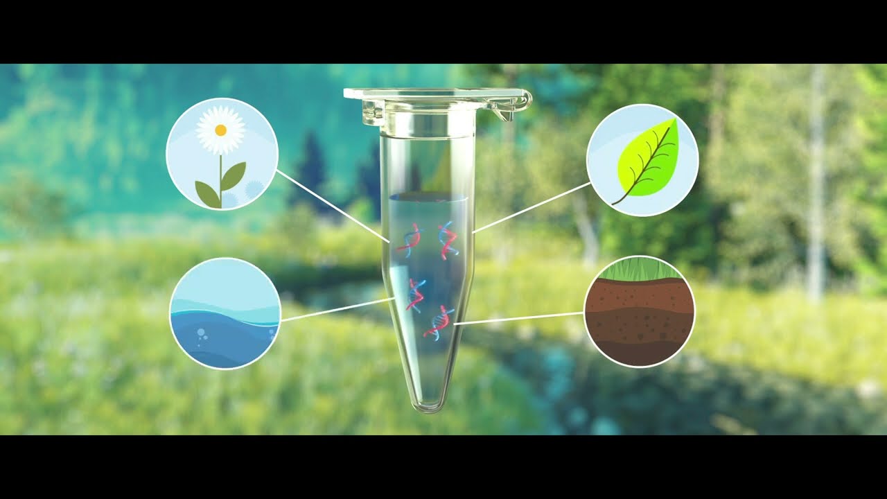 eDNA: Ein entscheidender Fortschritt f&uuml;r das Biomonitoring