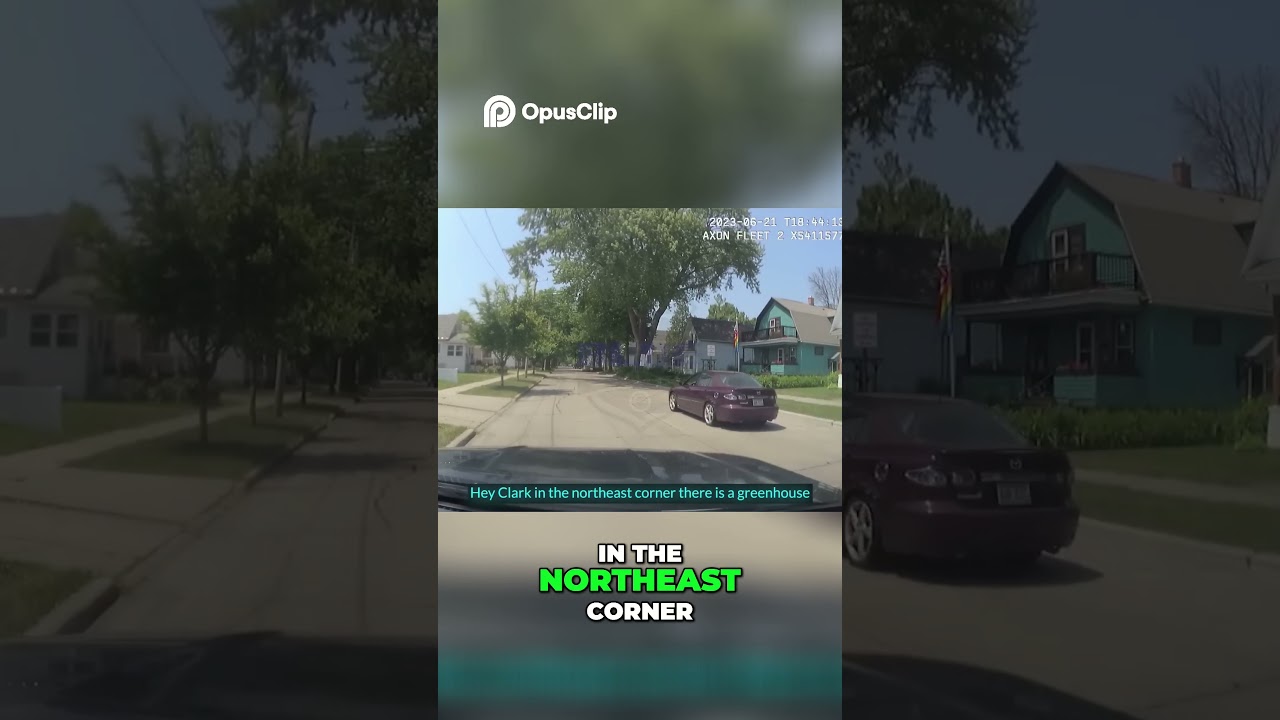 Suspect on the Run  Police Pursuit and Custody