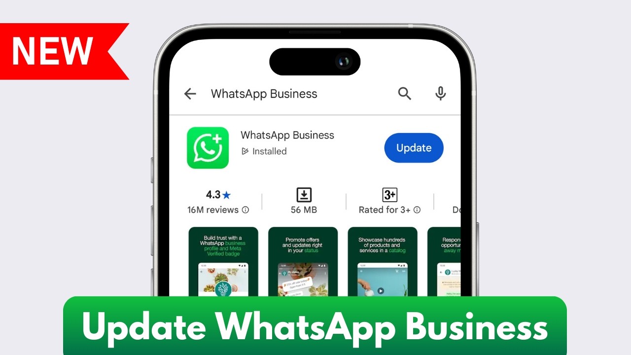 How To Update WhatsApp Business on Android/iPhone (2025)