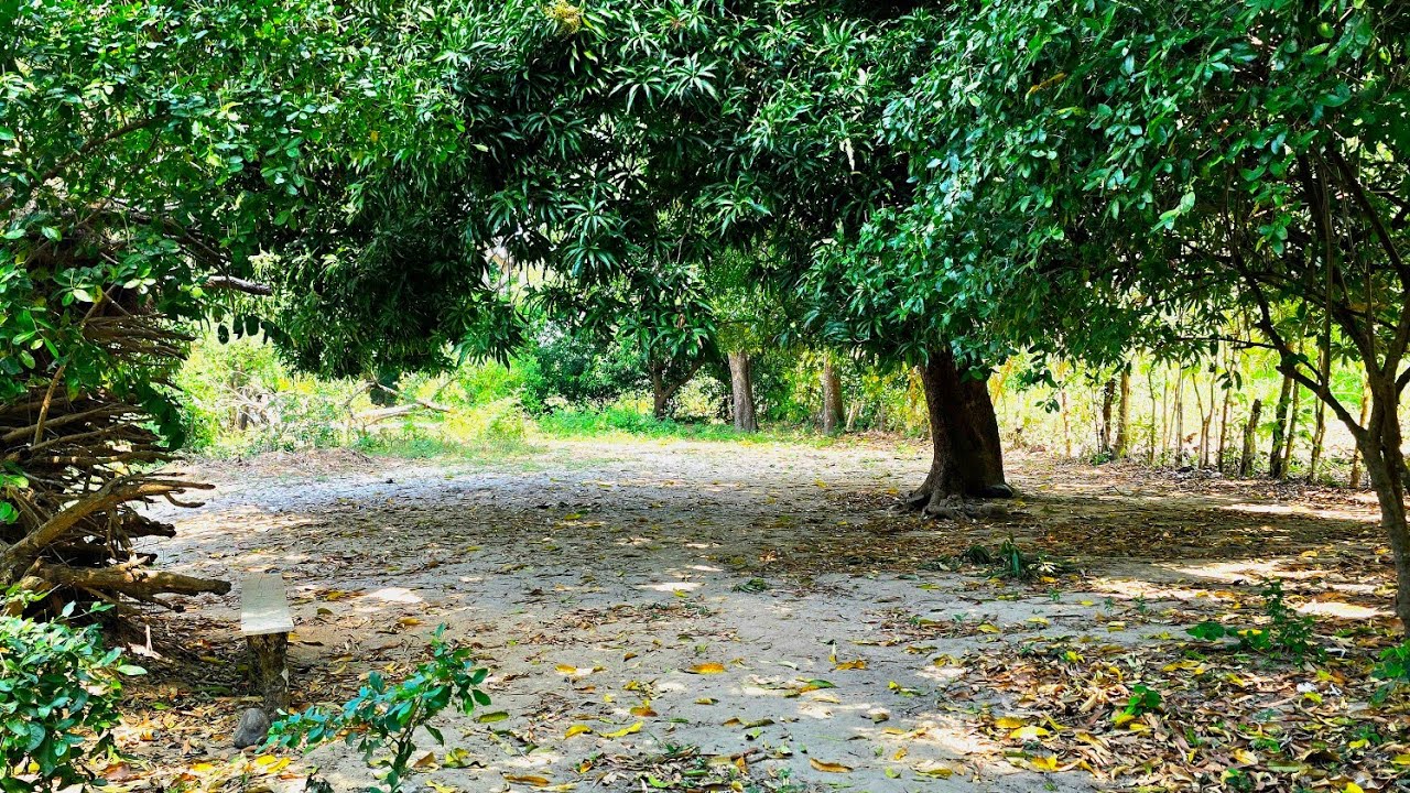 Un lugar Realmente Lindo para Pasar un dia en Familia 💚💚💚💚