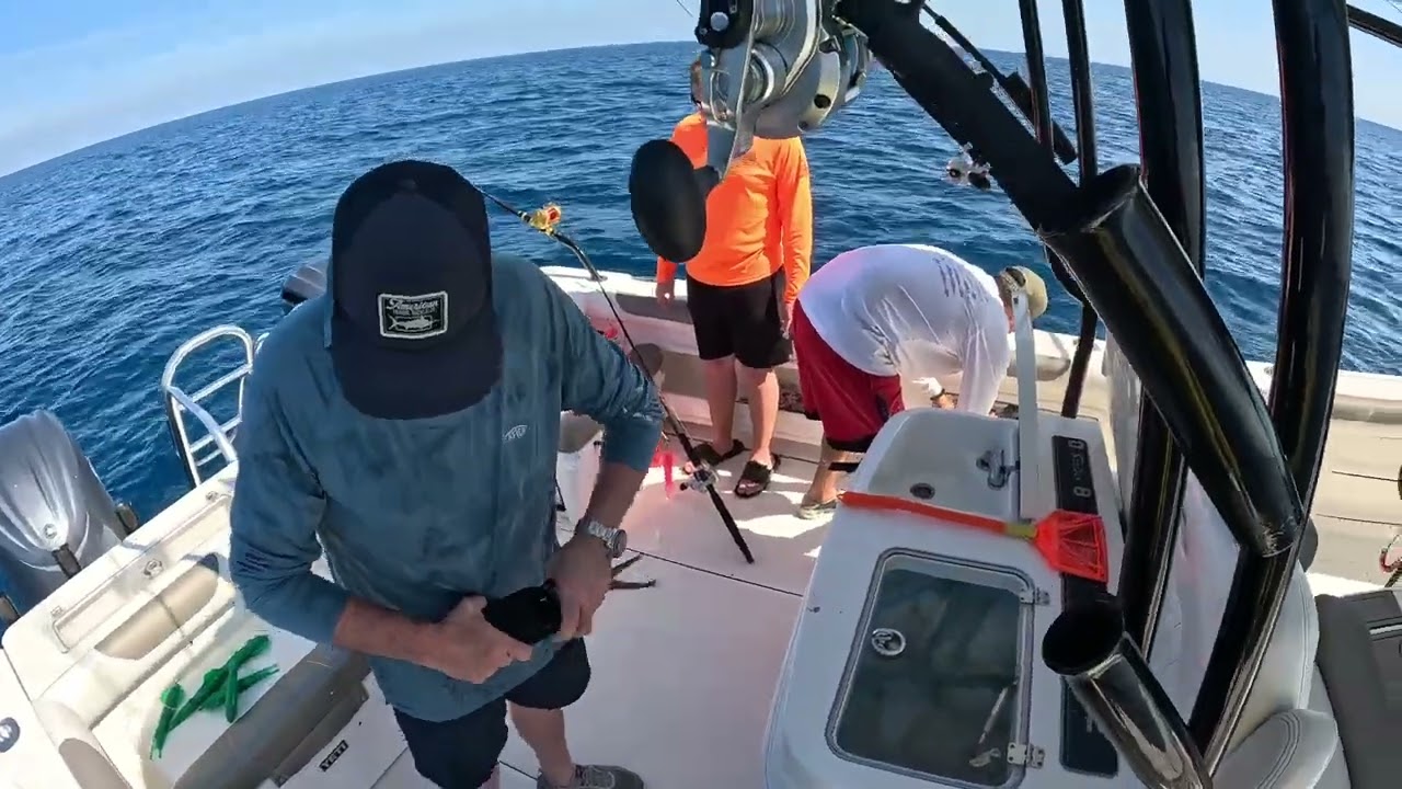 TUNA, MAHI, SAILFISH AND WHATNOT #ROYALSEAEXCURSIONS #gulfofamerica #miami #stpetersburgflorida