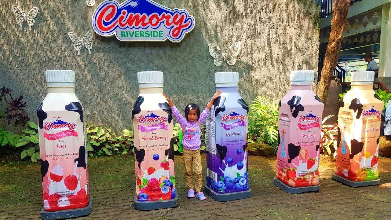 Naila Berlibur ke cimory bogor | lihat anak ikan hiu, bintang laut dan Kasih makan Hewan SERU