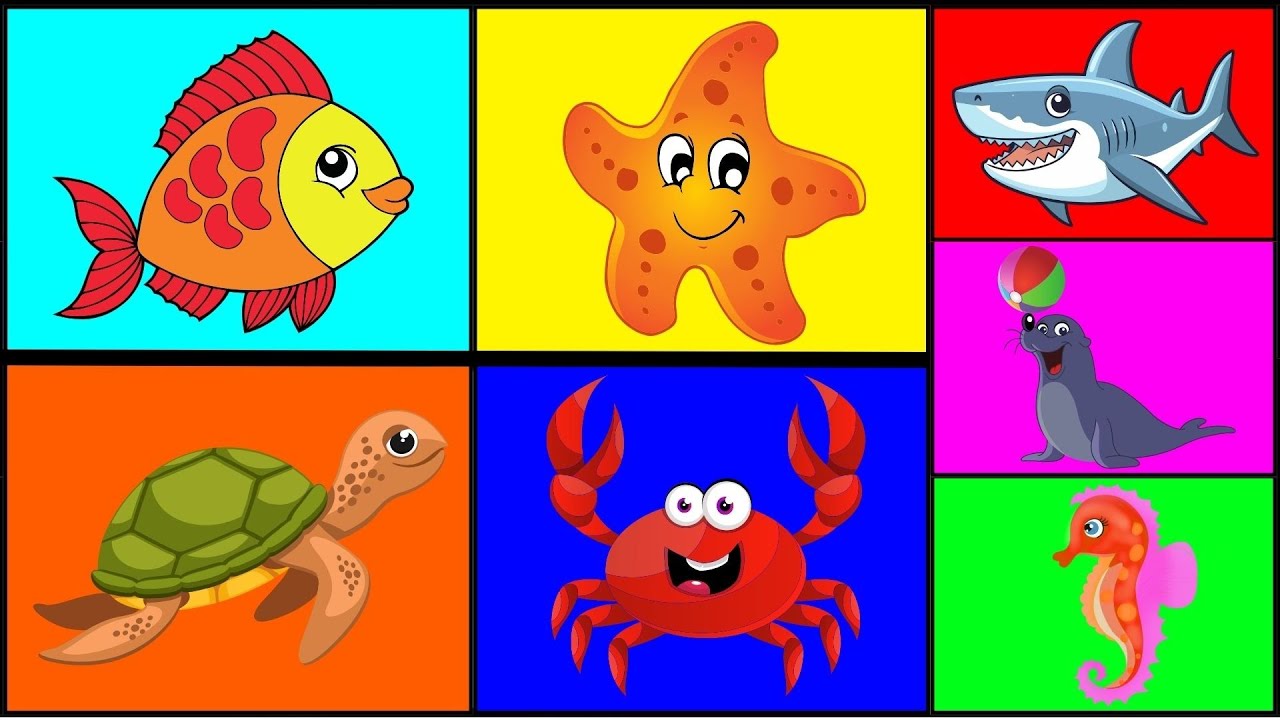 🔴Animales Marinos para Niños 🐠🦀 | Sonidos y Nombres de Animales Marinos | Video Educativo para Niños