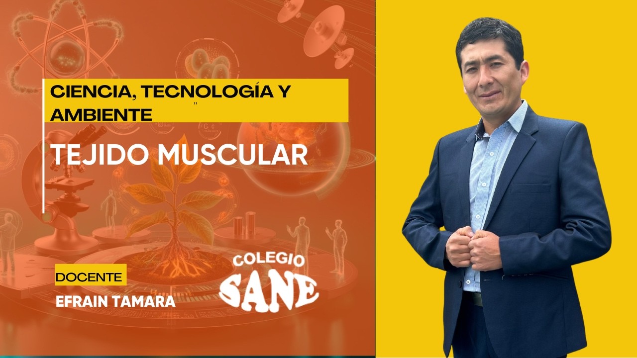 C.T.A. / TEJIDO MUSCULAR / 2° II BIM / 08 - 02