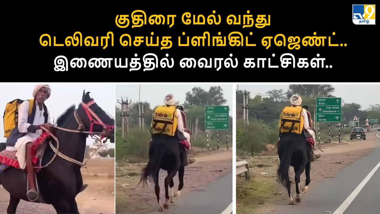 குதிரை மேல் வந்து டெலிவரி செய்த ப்ளிங்கிட் ஏஜெண்ட்.. இணையத்தில் வைரல் காட்சிகள்.. - TV9